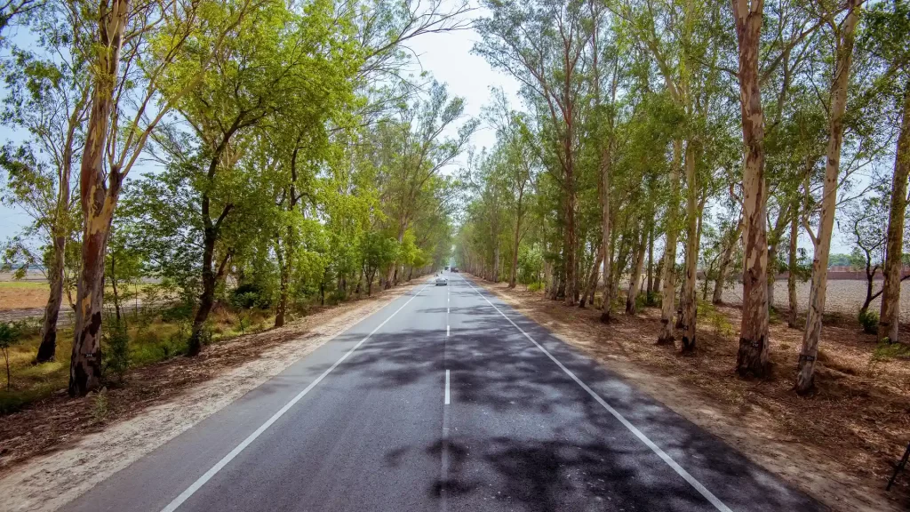 OPRC (Sangrur-Mansa-Bathinda Road)
