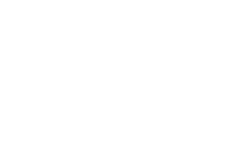 SES - Specialized Engineering Services